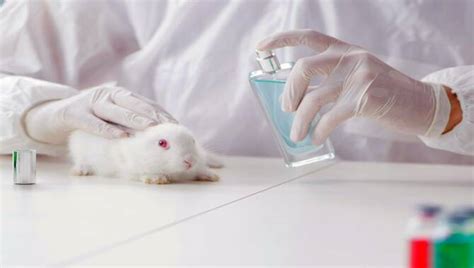 does chanel makeup test on animals|Chanel animal testing policy.